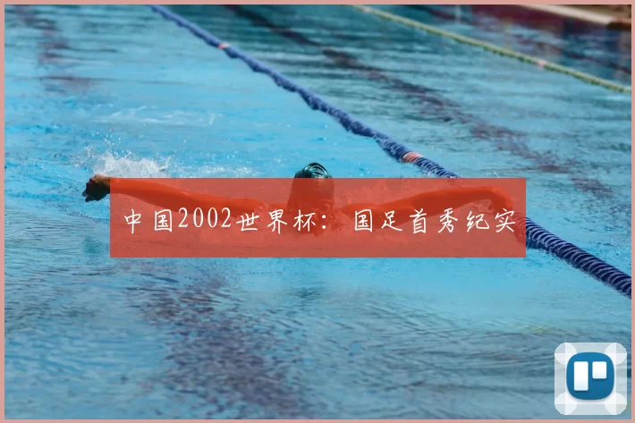 中国2002世界杯:国足首秀纪实