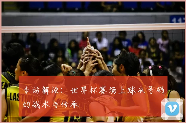 专访解读：世界杯赛场上球衣号码的战术与传承