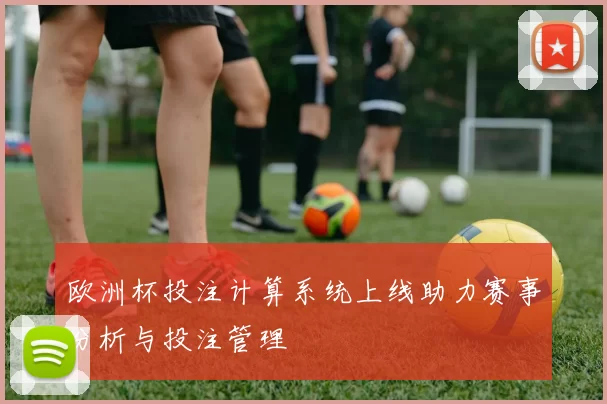 欧洲杯投注计算系统上线助力赛事分析与投注管理