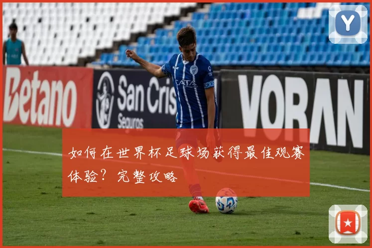 如何在世界杯足球场获得最佳观赛体验？完整攻略