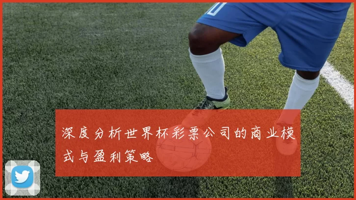 深度分析世界杯彩票公司的商业模式与盈利策略