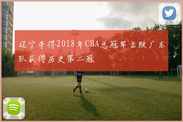 辽宁夺得2018年CBA总冠军击败广东队获得历史第二冠