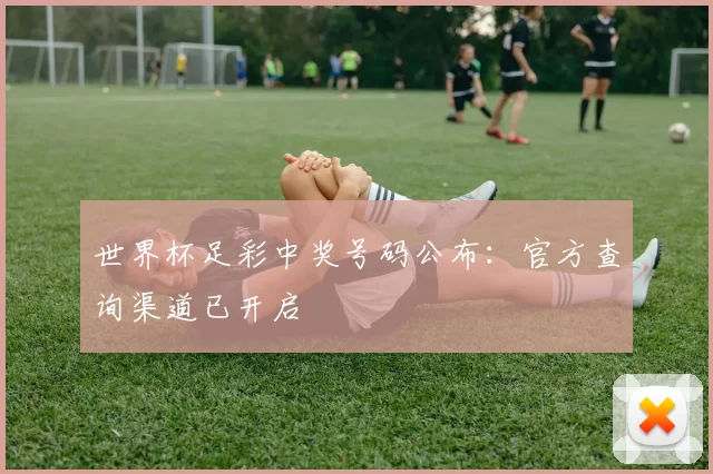 世界杯足彩中奖号码公布：官方查询渠道已开启