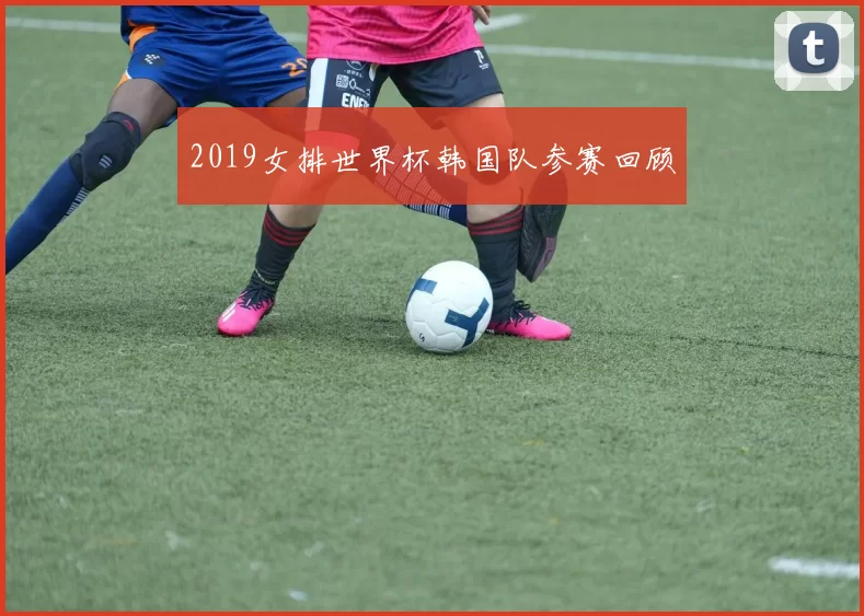 2019女排世界杯韩国队参赛回顾