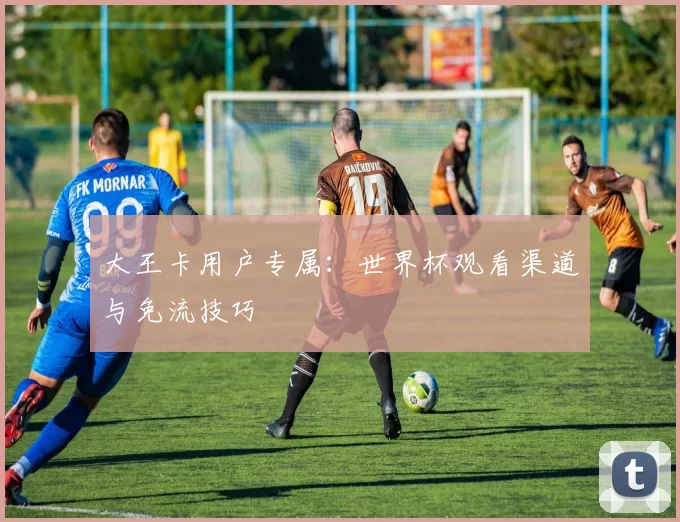 大王卡用户专属：世界杯观看渠道与免流技巧