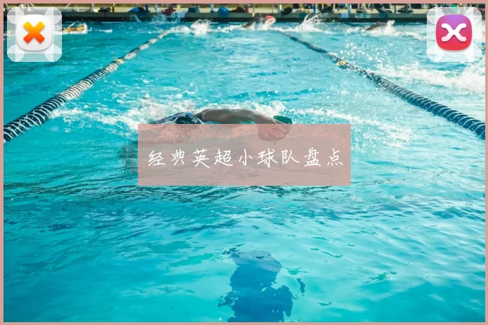 经典英超小球队盘点